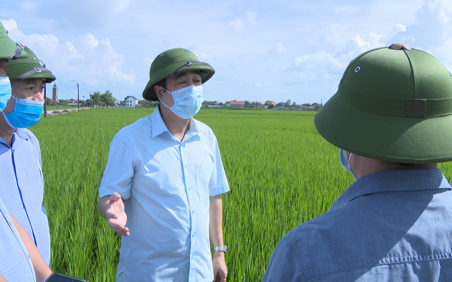 Định hướng và giải pháp phát triển nông nghiệp sinh thái tỉnh Thái Bình đến năm 2030, tầm nhìn đến năm 2045