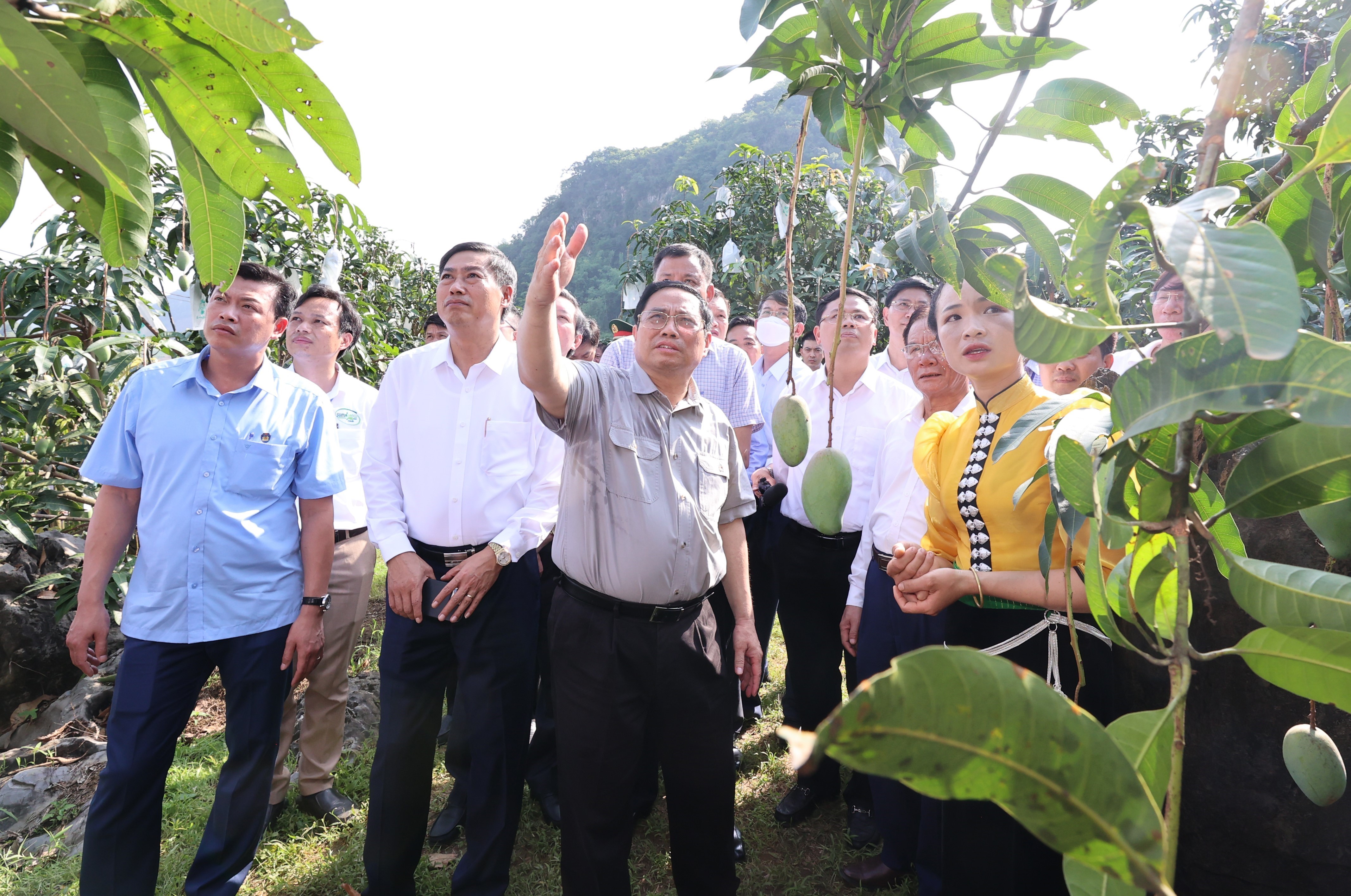 Định hướng phát triển hợp tác xã nông nghiệp ở Việt Nam trong bối cảnh mới