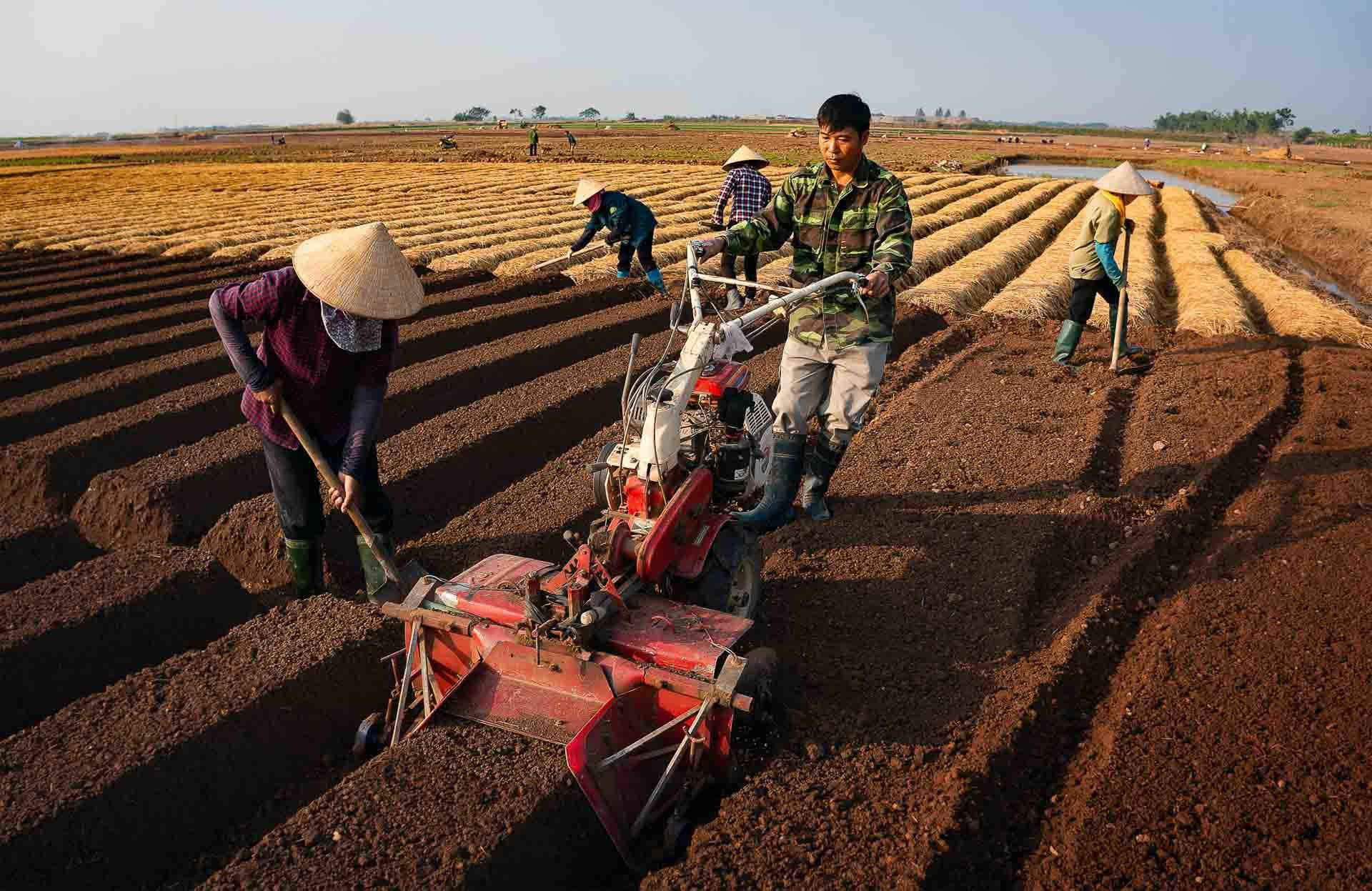 Tháo gỡ khó khăn, vướng mắc cho thị trường  cho thuê quyền sử dụng đất nông nghiệp phát triển (kỳ 3)